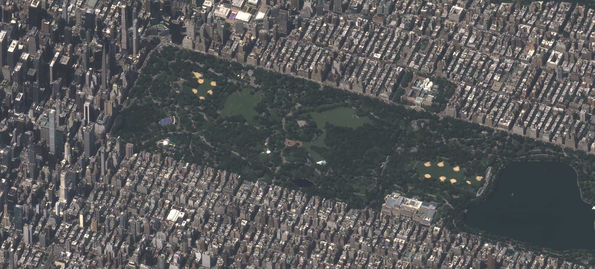 Insurance & Risk Assessment